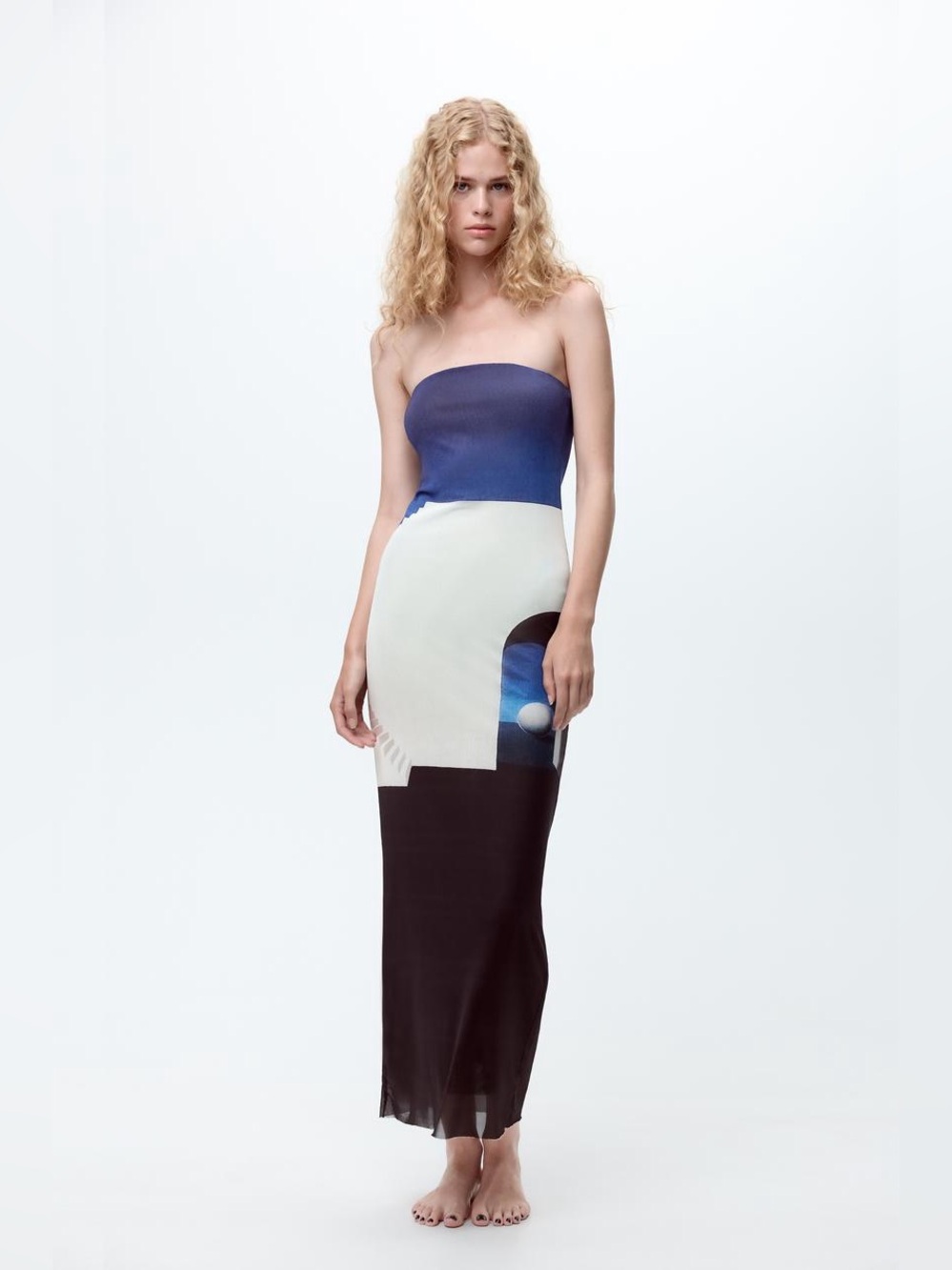 NWOT Zara René Magritte L’Empire Des Lumieres Surrealist Print Tulle Dress